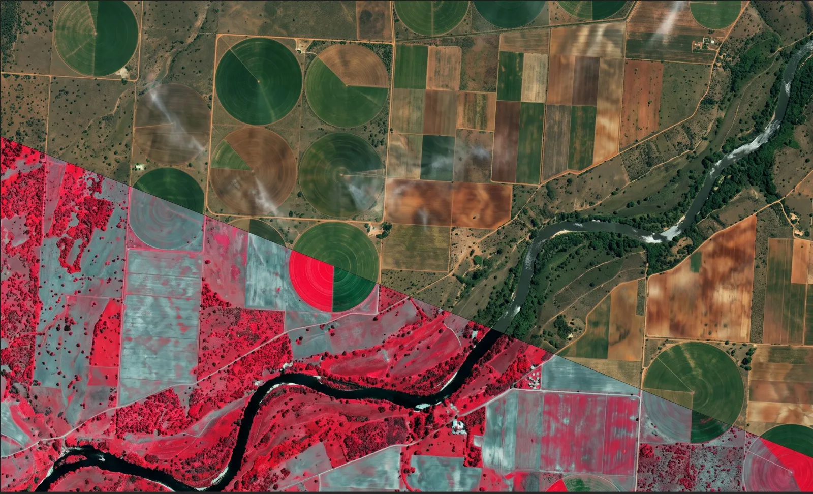 Satellite view of farmland — true colour compared with vegetation-index analysis